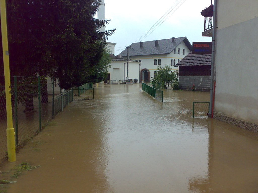 Active Image